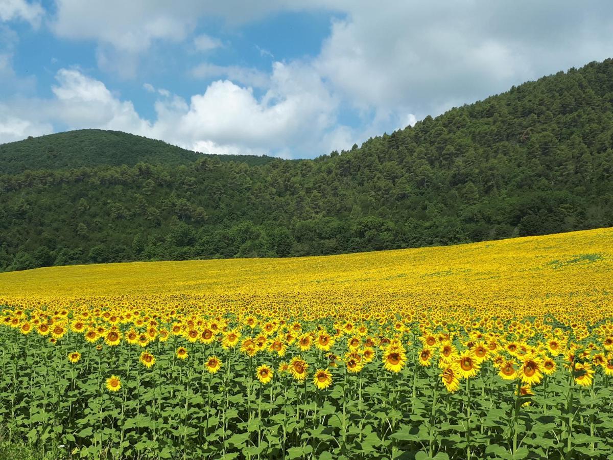Il Girasole Del Lago Piediluco Ngoại thất bức ảnh